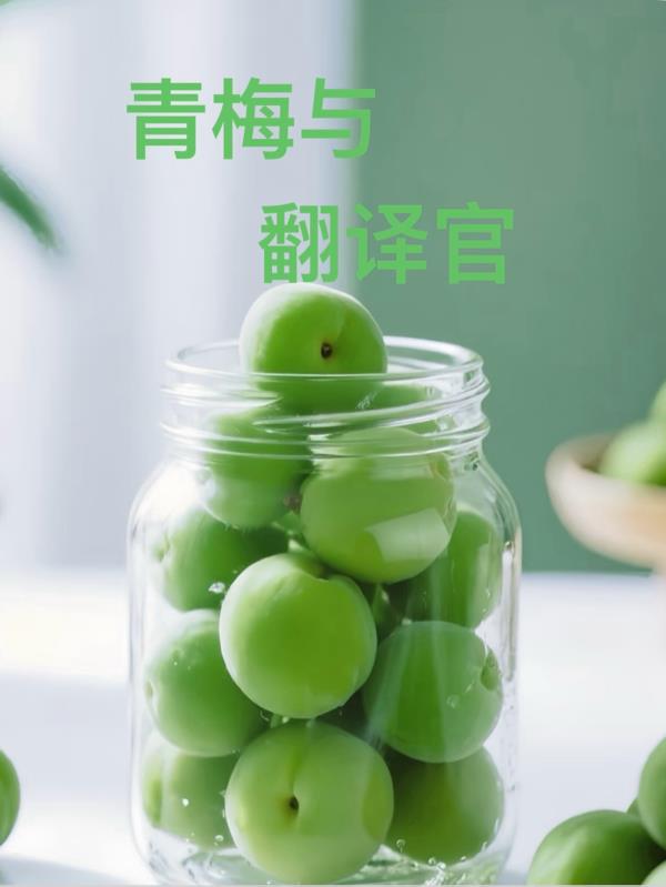 青梅与翻译官
